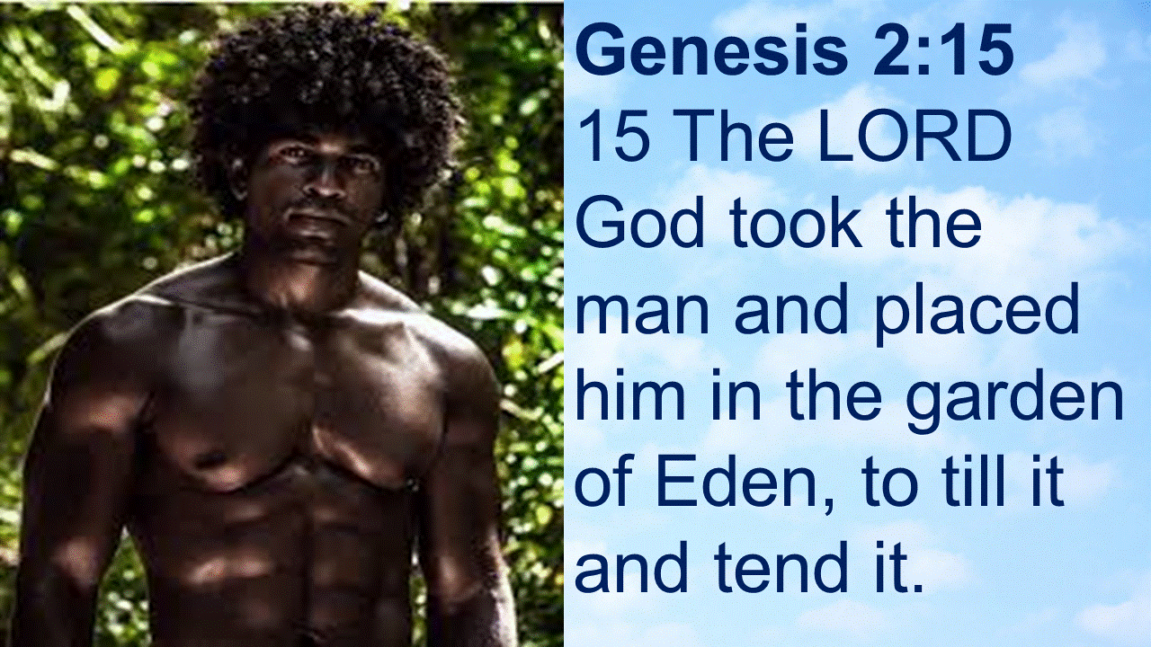 The Man In The Garden Of Eden