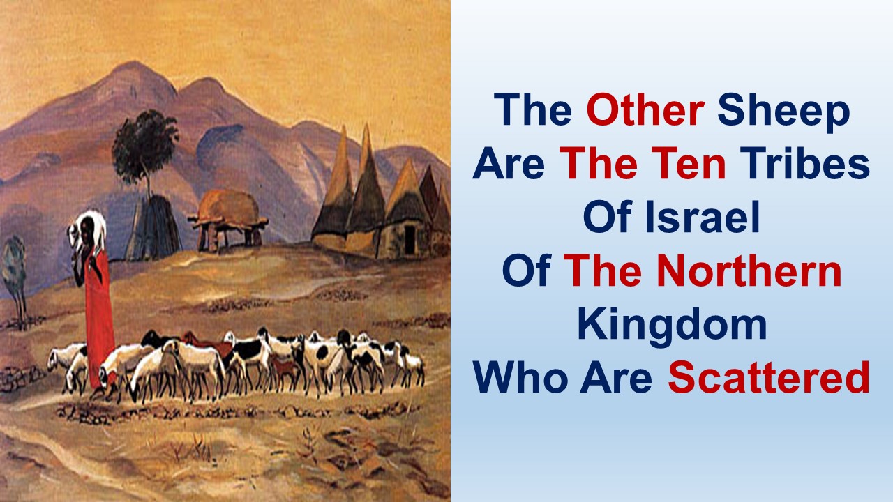 The Other Sheep Are The Ten Tribes Of Israel Of The Northern Kingdom Who Are Scattered