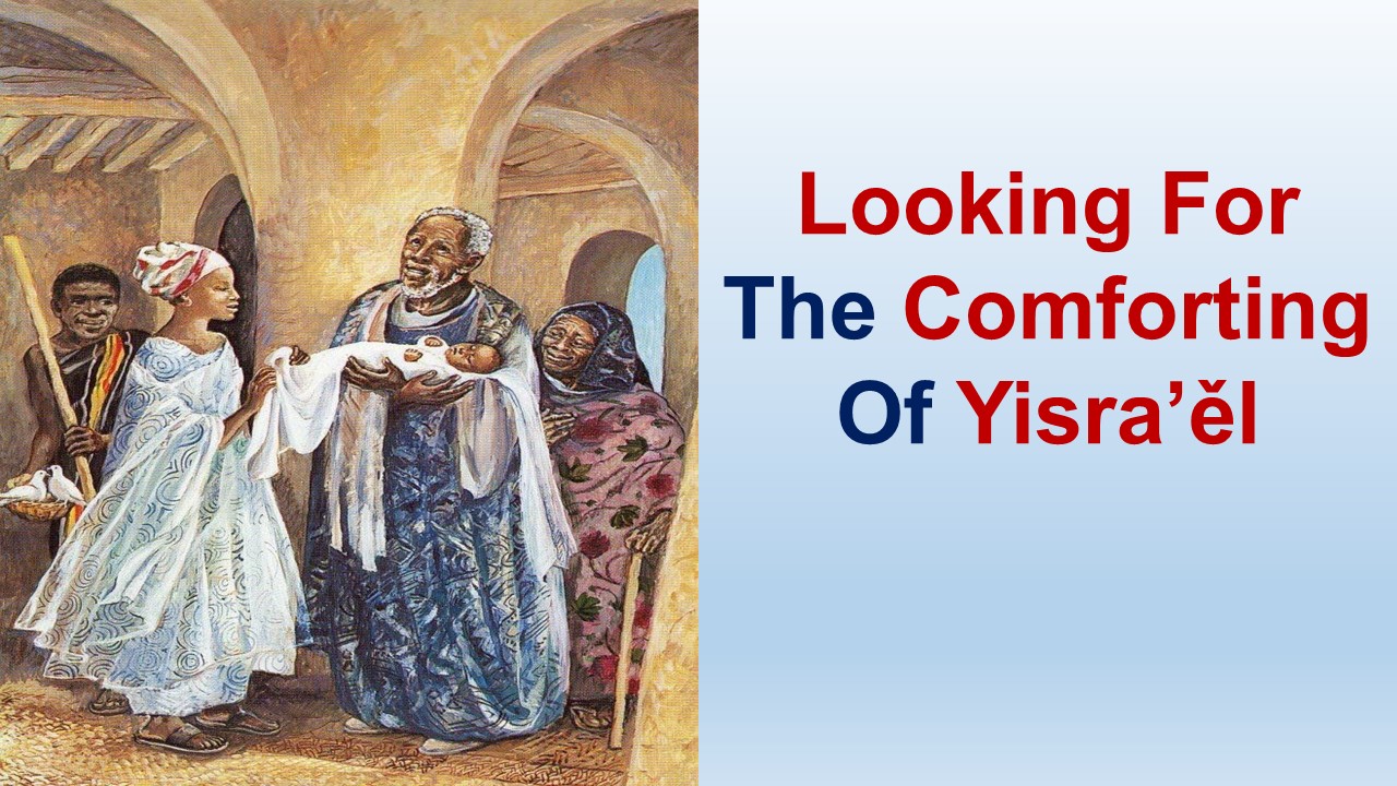 Looking For The Comforting Of Yisra’ěl – St Luke 2:1-52