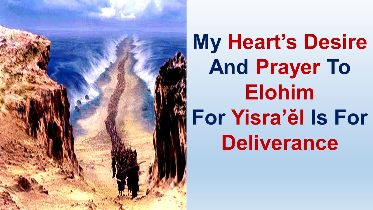 My Heart’s Desire And Prayer To Elohim For Yisrael – Romans 10:1-21