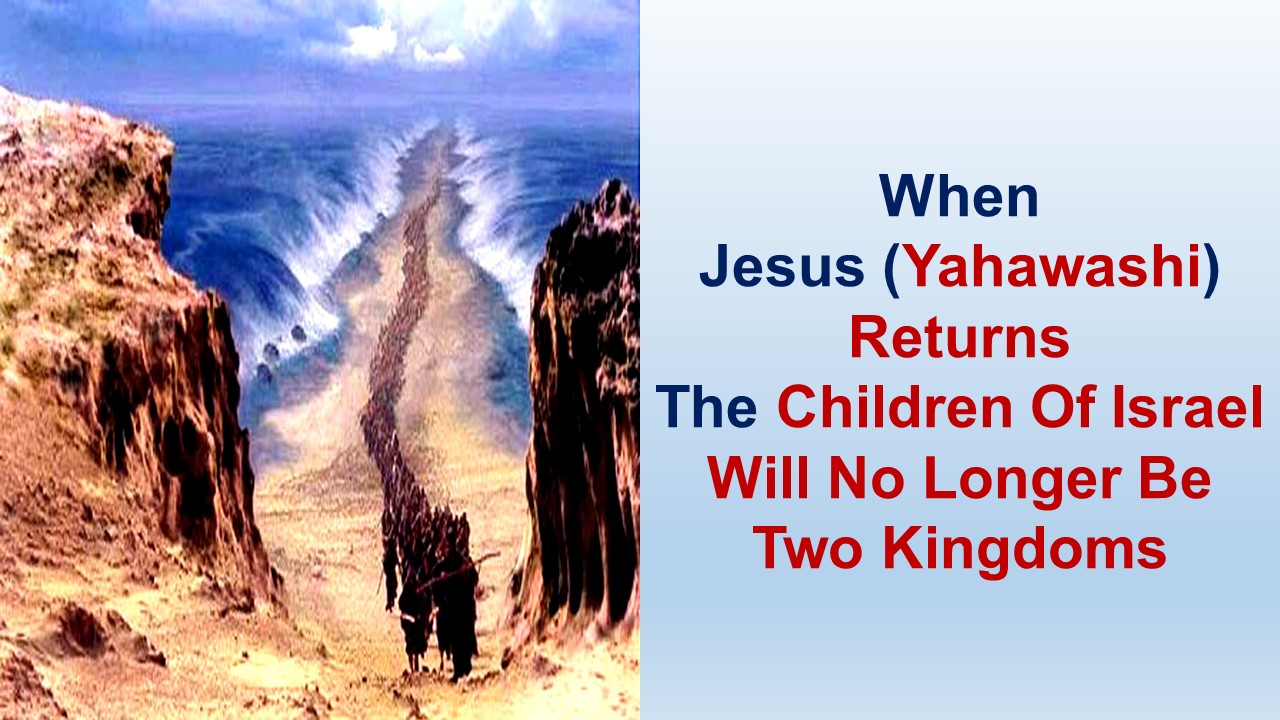 When Jesus (Yahawashi) Returns The Children Of Israel Will No Longer Be Two Kingdoms